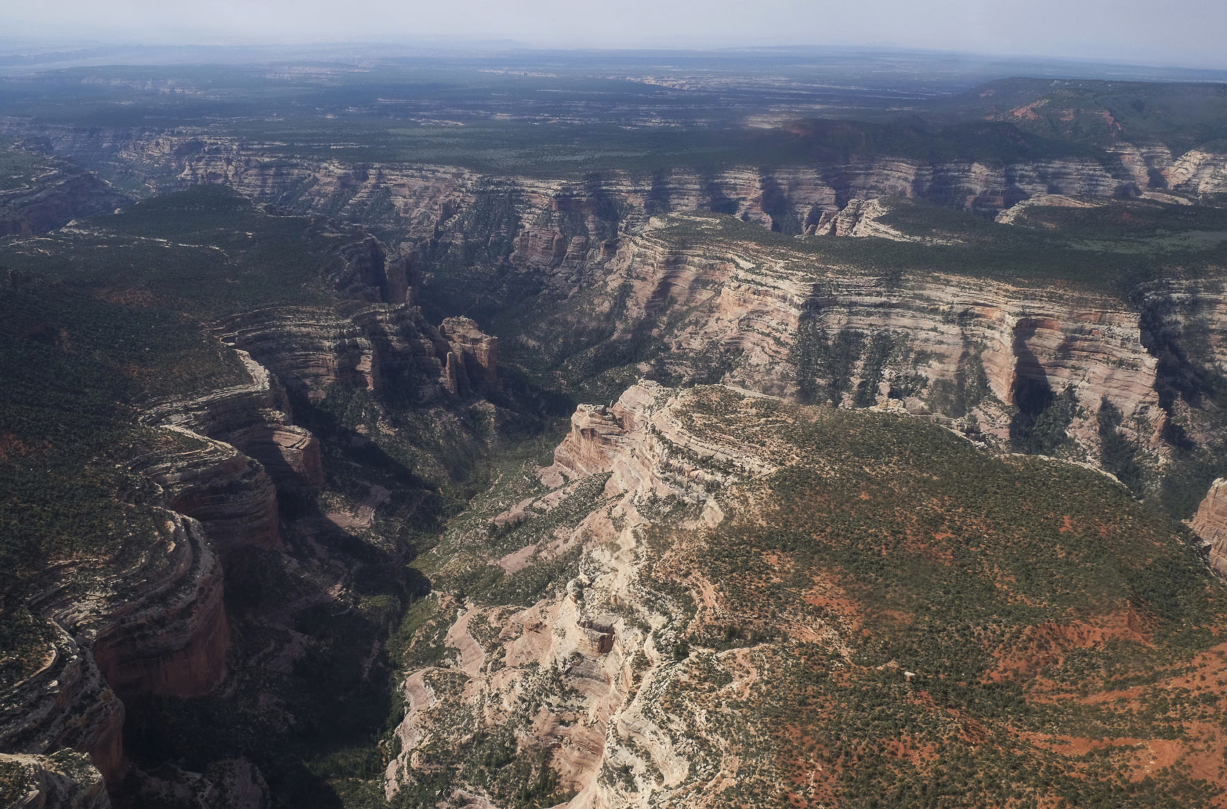 Arch Canyon